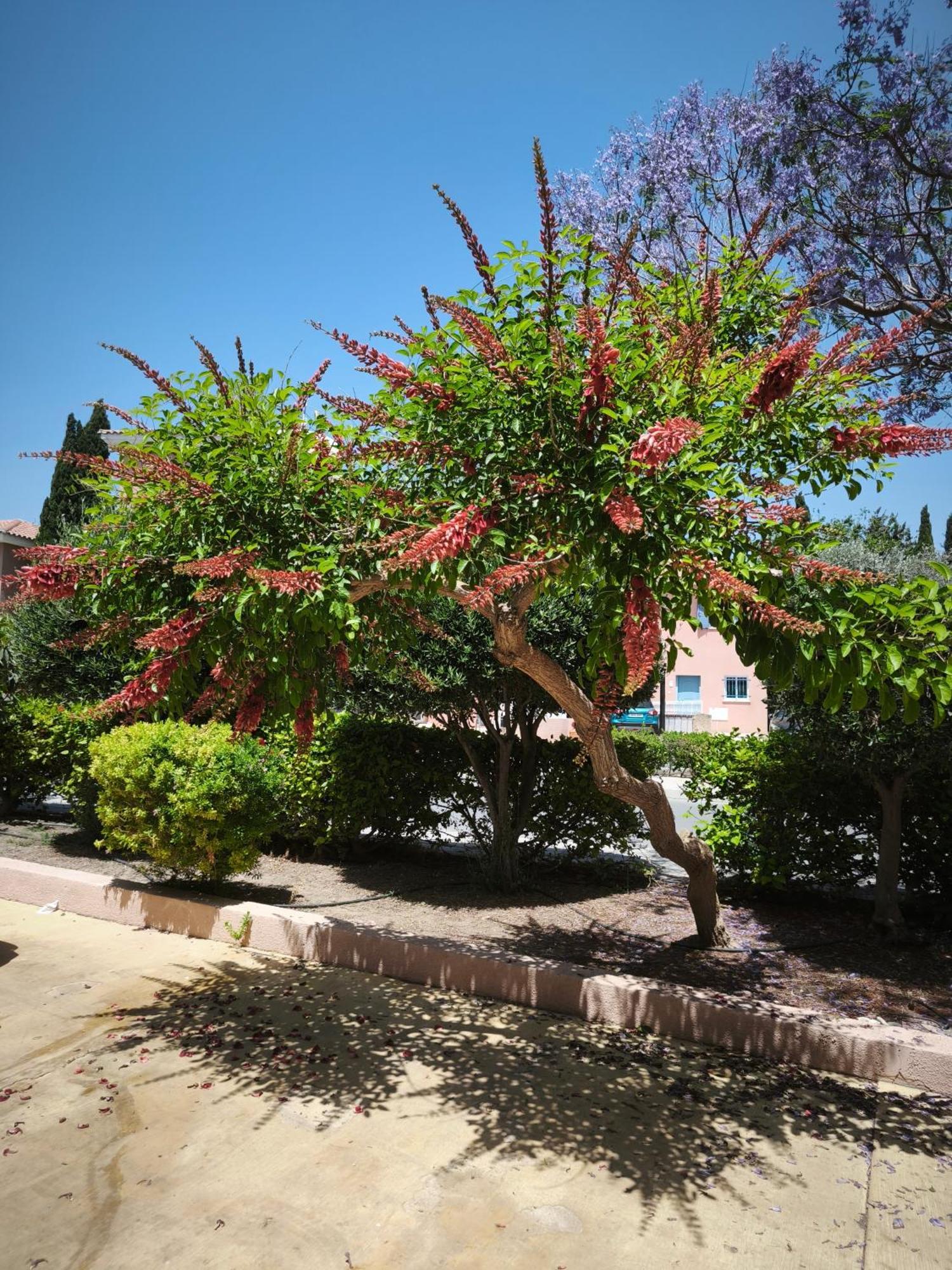 Vila Eden Gardens Paphos Exteriér fotografie